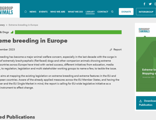 Bericht der Euro Group for Animals – Extremzucht in Europa