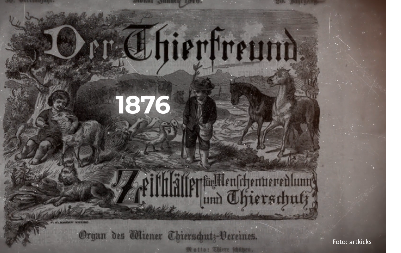 Österreich: Tierschutzombudsstelle Wien feiert 20 Jahre österreichisches Tierschutzgesetz