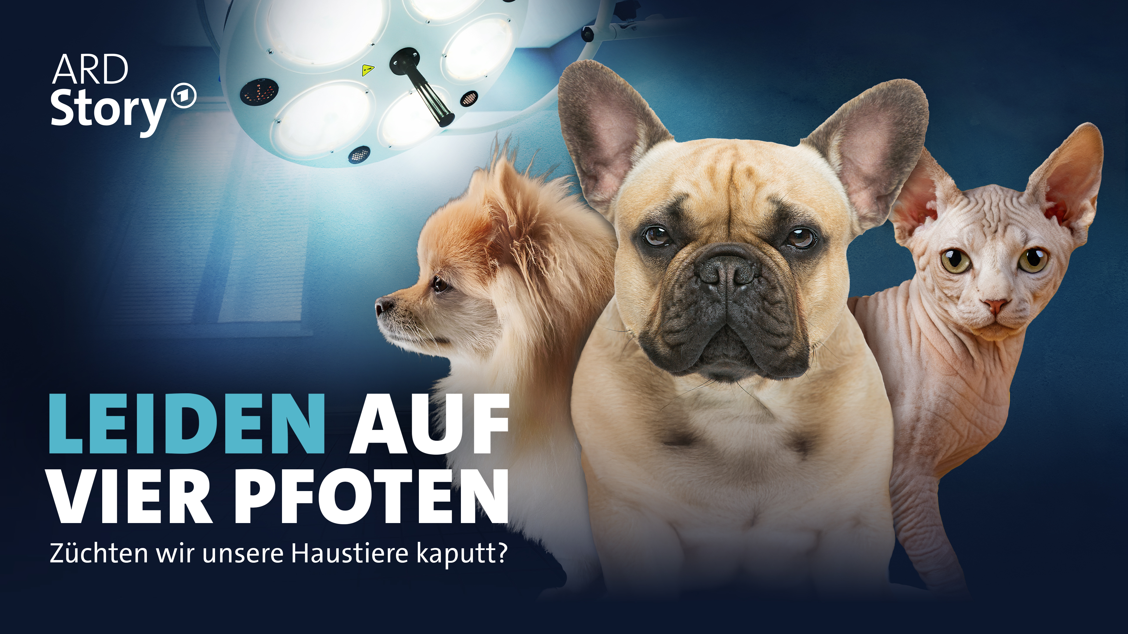 Leiden auf vier Pfoten – Züchten wir unsere Haustiere kaputt?